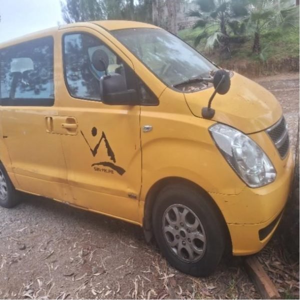 STATION WAGON HYUNDAI GRAND STAREX 2009